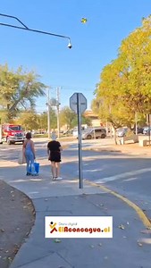 9.4K views · 388 reactions | En San Felipe este Martes 8 de Abril, colisión entre dos vehiculos particulares en la intersección de avenidas OHiggins con Yungay dejó tres personas lesionadas de diversa consideración, siendo atendidos por Bomberos y SAMU en el sitio del suceso. | ElAconcagua.cl | Facebook