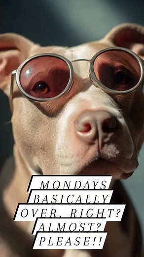 17 reactions | Get people to realize pit bulls are NOT bad on Reels | Facebook