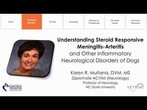 Understanding SRMA & Other Inflammatory Neurological Disorders of Dogs