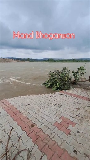 Vipan Choudhary | Pong dam latest update || pong dam water level today pandoh dam water level today bhakhra dam today #pongdam #fatehpurhimachal... | Instagram