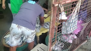 Practical economics! Local Food Production Opens Work Opportunities The country's economic recovery could be boosted if government adopts a policy which supports local food production. Jobs and income opportunities are created. That is plain and simple practical economics and common sense. #GovernanceIsCommonSense! | MannyPiñol