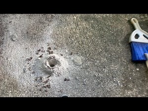 Dave’s Pest Control Drilling Concrete