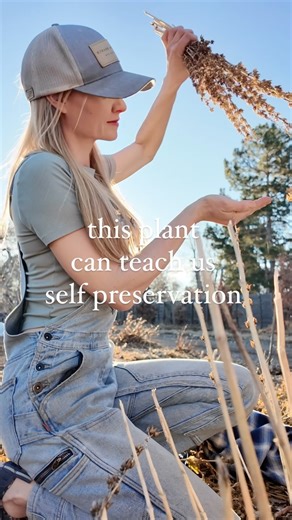 44K views · 906 reactions | This plant is more emotionally...