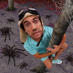 Spooky Spiders Everywhere! - Danny Go!: Song Lyrics, Music Videos & Concerts