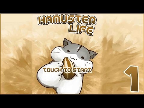 Hamster Life || So Many Hamsters!! - Episode #1