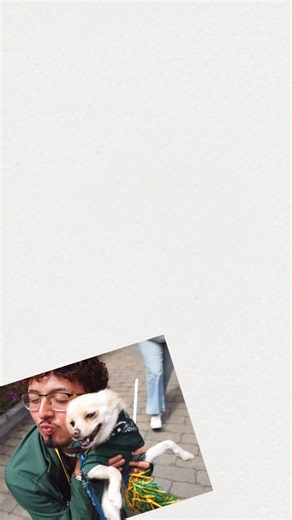 ✨USF GO Team: Orientation ✨ | Happy Valentine’s Day From Us!! 💚💛 . . . . . #valentinesday #usfca #greenandgold | Instagram