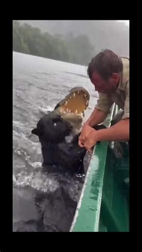 Save Wildlife Through Art: Easy Drawings and Posters