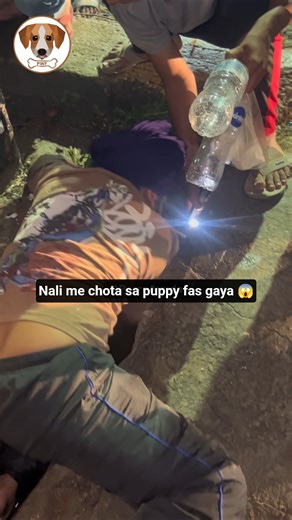 Naali ke gande paani me tadapta puppy 💔 Kya bach payega? || #shorts #dogs