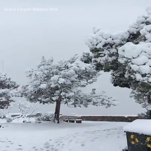 34K views · 2.1K reactions | Snow or shine, the views at the Grand Canyon are amazing ❄️ https://12ne.ws/2rgomtY | 12News | Facebook