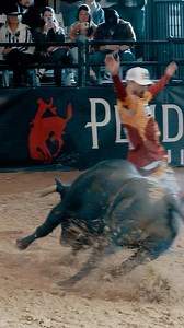 2024 BFO Rookie of the Year 🇪🇸 Joaquin Cortes finished his first year competing in the United States with this electrifying fight in Las Vegas at the BFO World Championship. #freestylebullfighting #bfo #bullfightersonly | Bullfighters Only