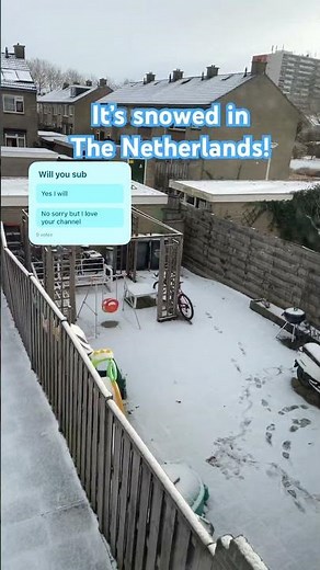 IT SNOWED #shortsfeed #netherlands #snow #winter #shorts