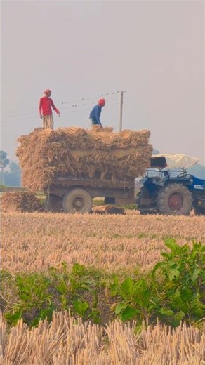 😍💞#shorts #shortsfeed