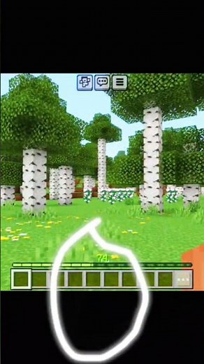 I Broke 1,000 Bottles o' Enchanting in Minecraft to See How Much XP I'd Get! 🤯