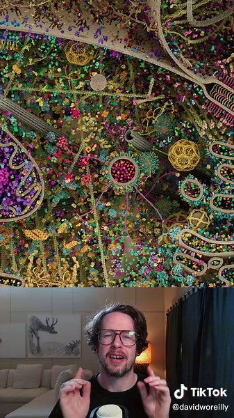 Exploring the Intricate Human Cell Structure Under a Microscope