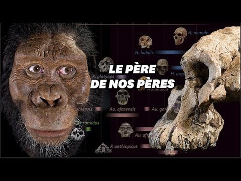 On a trouvé le grand-père de notre ancêtre Lucy l'australopithèque
