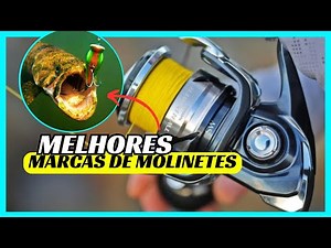 As 5 Melhores Marcas de Molinetes para Comprar!