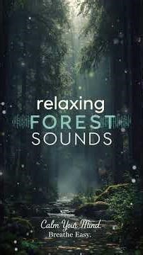 Relaxing Forest Sounds | Peaceful Nature Ambience for Sleep & Stress Relief