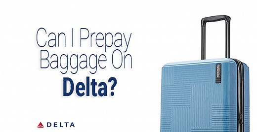 Can I Prepay Baggage On Delta? 2026 - Detailed Guide - Travelclosely