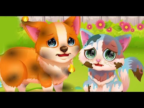 Funny Rescue Pet Full Gameplay Walkthrough