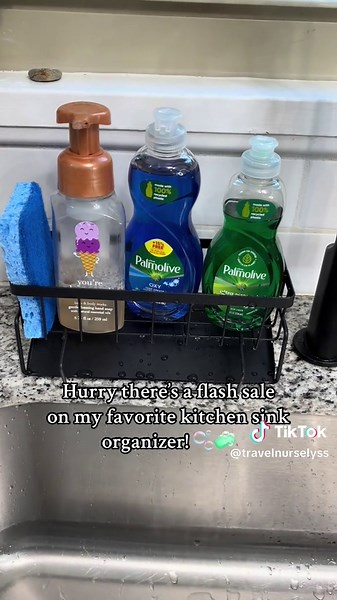 Essential Kitchen Sink Organizer for a Tidy Home