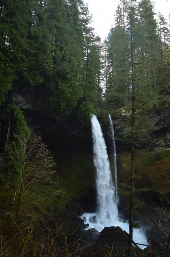 Silver Falls State Park