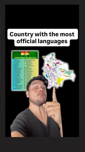 The country with the most official languages
