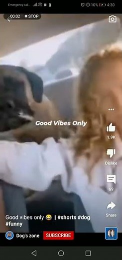 Good Vibes Only, Dog Throwing up
