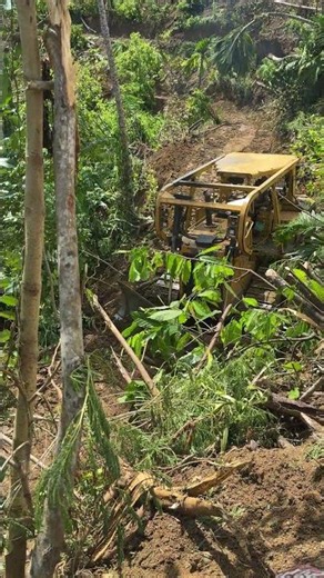 Modern D6R XL Technology on Steep Mountain Slopes