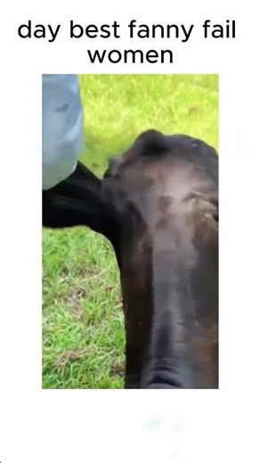 funny fail human 2025 #human#fail#short