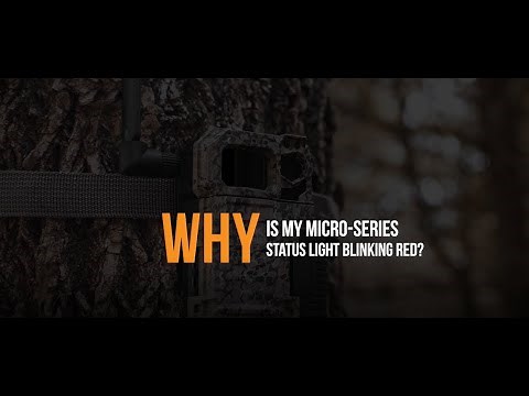 Why is my MICRO-Series SPYPOINT Camera Status Light Blinking Red? | SPYPOINT