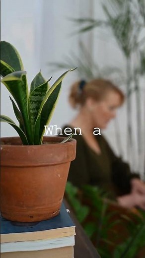 Slithering Secrets: How Snakes Shed Their Skin! 🐍 Learn the Mesmerizing Process of Molting!