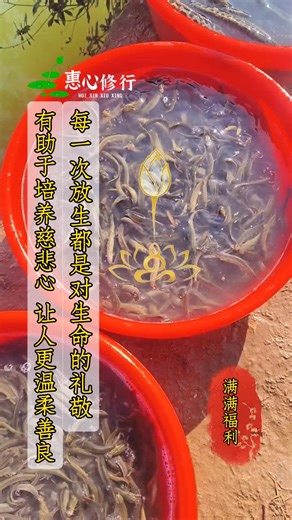 视频加载中，速速查收惊喜！