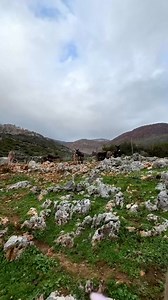 11K views · 16 reactions | Kopaçëz, Delvinë | Pas viteve të gjata...