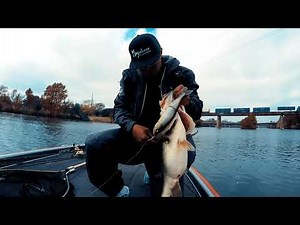 How I like to fish the Megabass Magdraft Swimbait ‪@OliverNgy‬