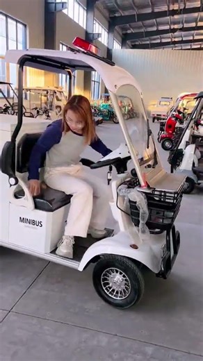 Compact Cargo King: Small size, big on efficiency