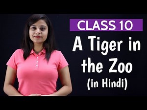 A Tiger in the Zoo Class 10 | in Hindi | word meaning, question answers and poetic devices