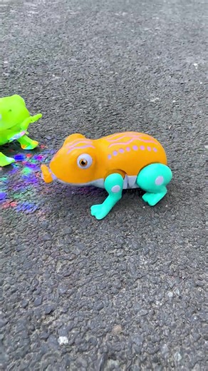 Unboxing the Remote Control 3 Gu Frog RC Vehicle