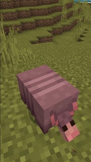 How To Breed Armadillos In Minecraft
