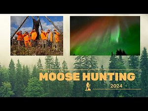 Moose Hunting 2024