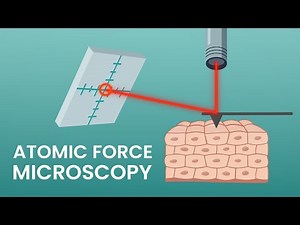 An introduction to atomic force microscopy