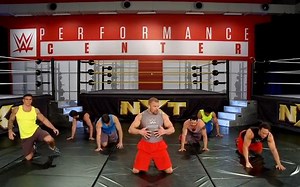 (增肌)WWE Power Series Triple H