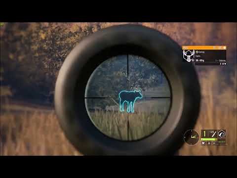 the Hunter : Call of the Wild Cheat (unlimited resource, god mode, noclip)