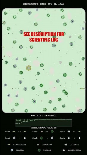 Dynamic Kinematics of Flagellate Swarm Aggregation