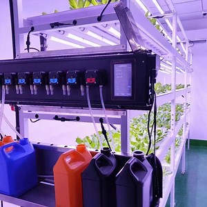 [Hot Item] Vegetable Hydroponic Growing System Green House Shipping Container Farm