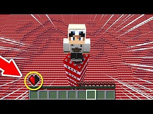 CUMAN 1,5%ORANG YANG BERHASIL MAIN SURVIVAL DI DUNIA TNT MINECRAFT!