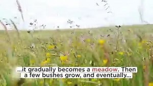 83 reactions · 12 shares | The study of ecological succession was...