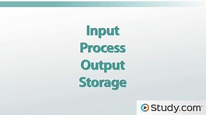 Input, Processing, Output & Feedback: Information System Components - Video | Study.com