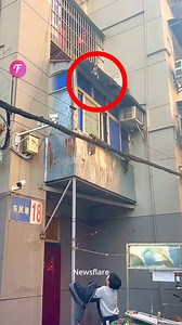 156K views · 1.5K reactions | Bird rescued from balcony by kind individual | Fabiosa Better World | Facebook