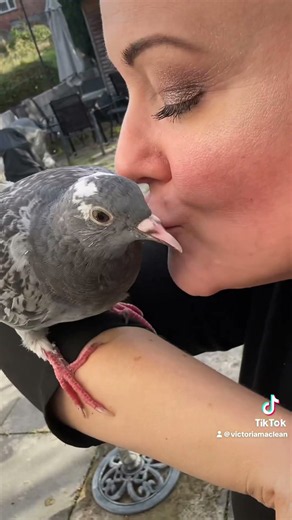 I can’t tell you how much I love these 2 feather babies 🥰