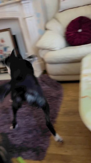 Barney watching Jurassic Park#jurassicpark | Stephen Kelleher